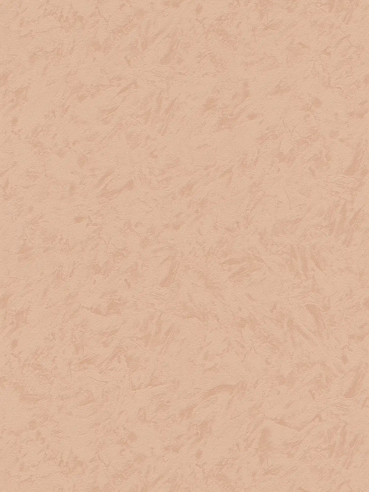 Terrakotta Vliestapete mit Wischputz-Optik – Orange
