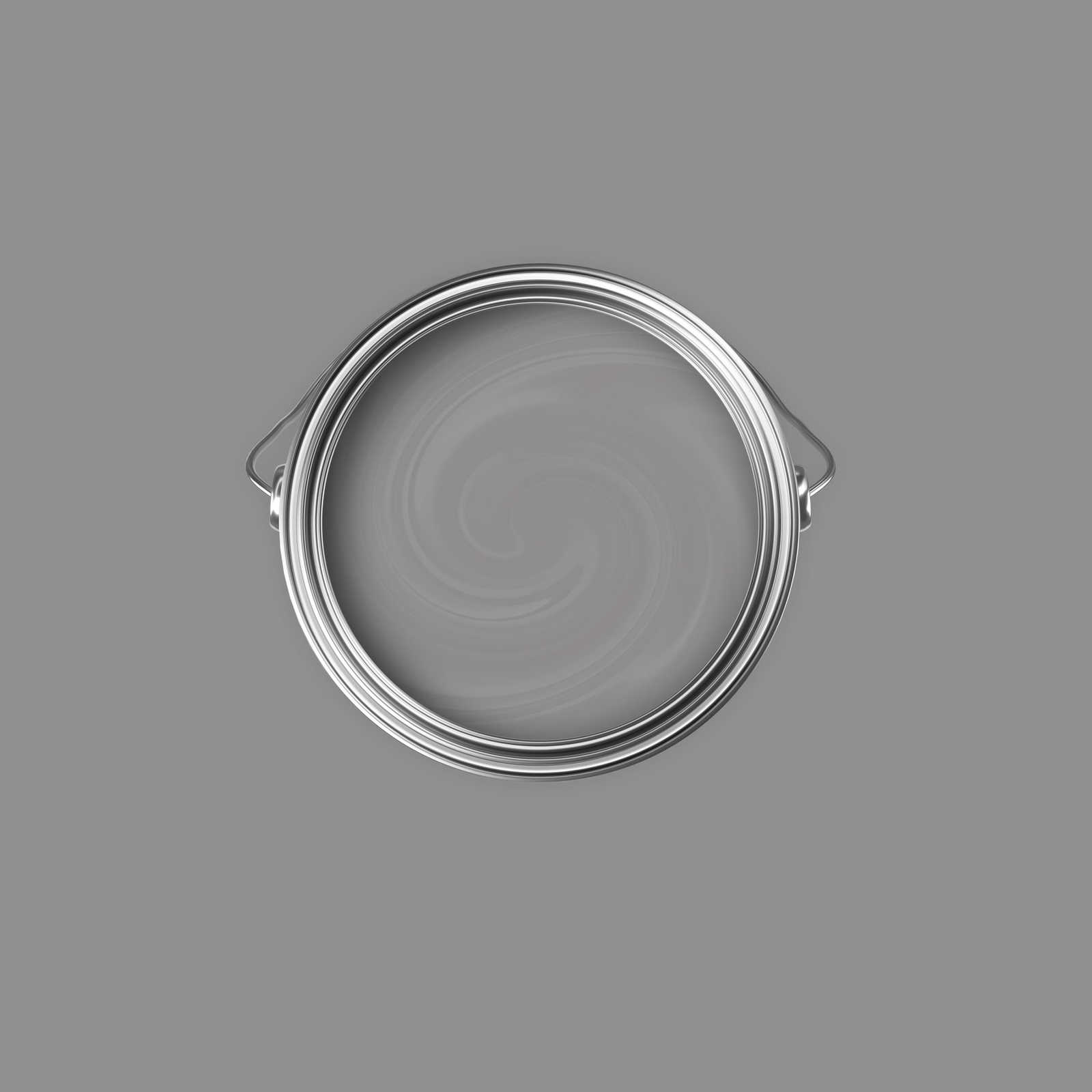             Premium Wandfarbe überzeugendes Steingrau »Industrial Grey« NW103 – 2,5 Liter
        
