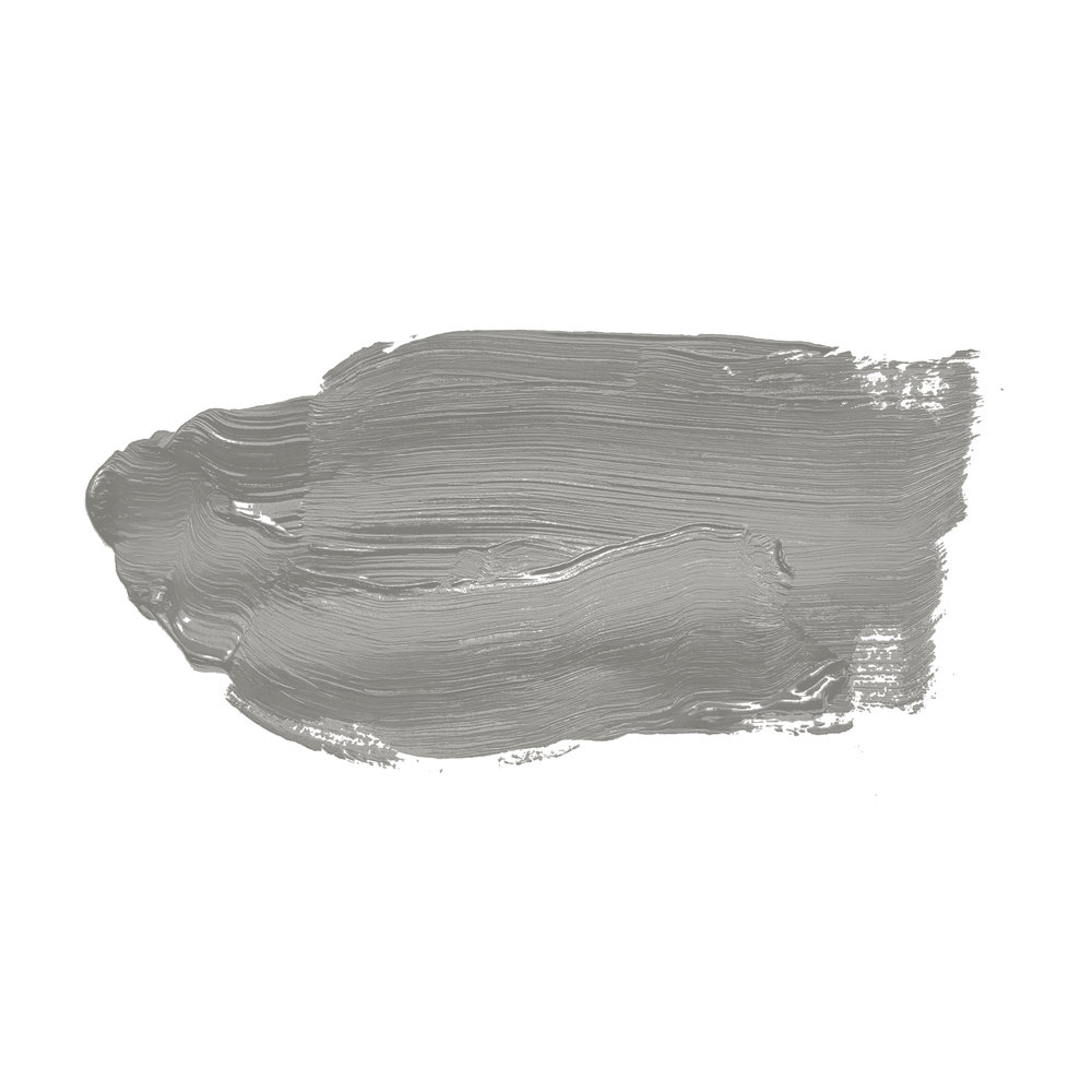             Wandfarbe in neutralem Grau »Grey Salt« TCK1010 – 2,5 Liter
        