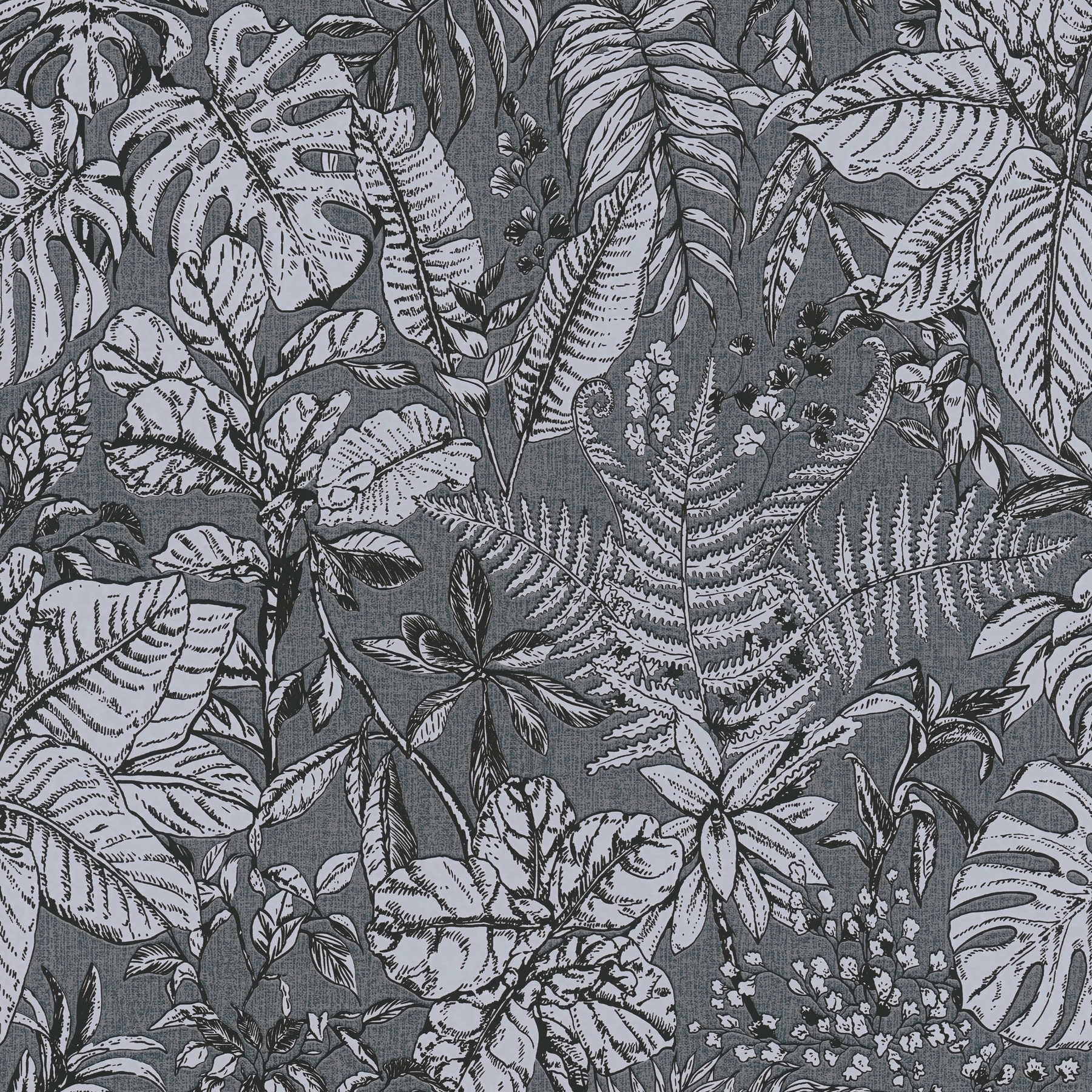 Tapete Dschungel Muster, Monstera Blätter & Farne – Grau, Weiß
