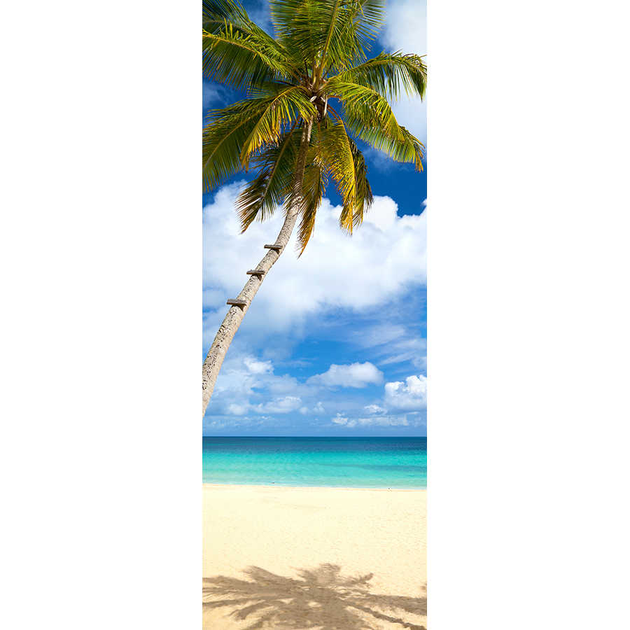         Strand Fototapete Palme am Meer auf Premium Glattvlies
    