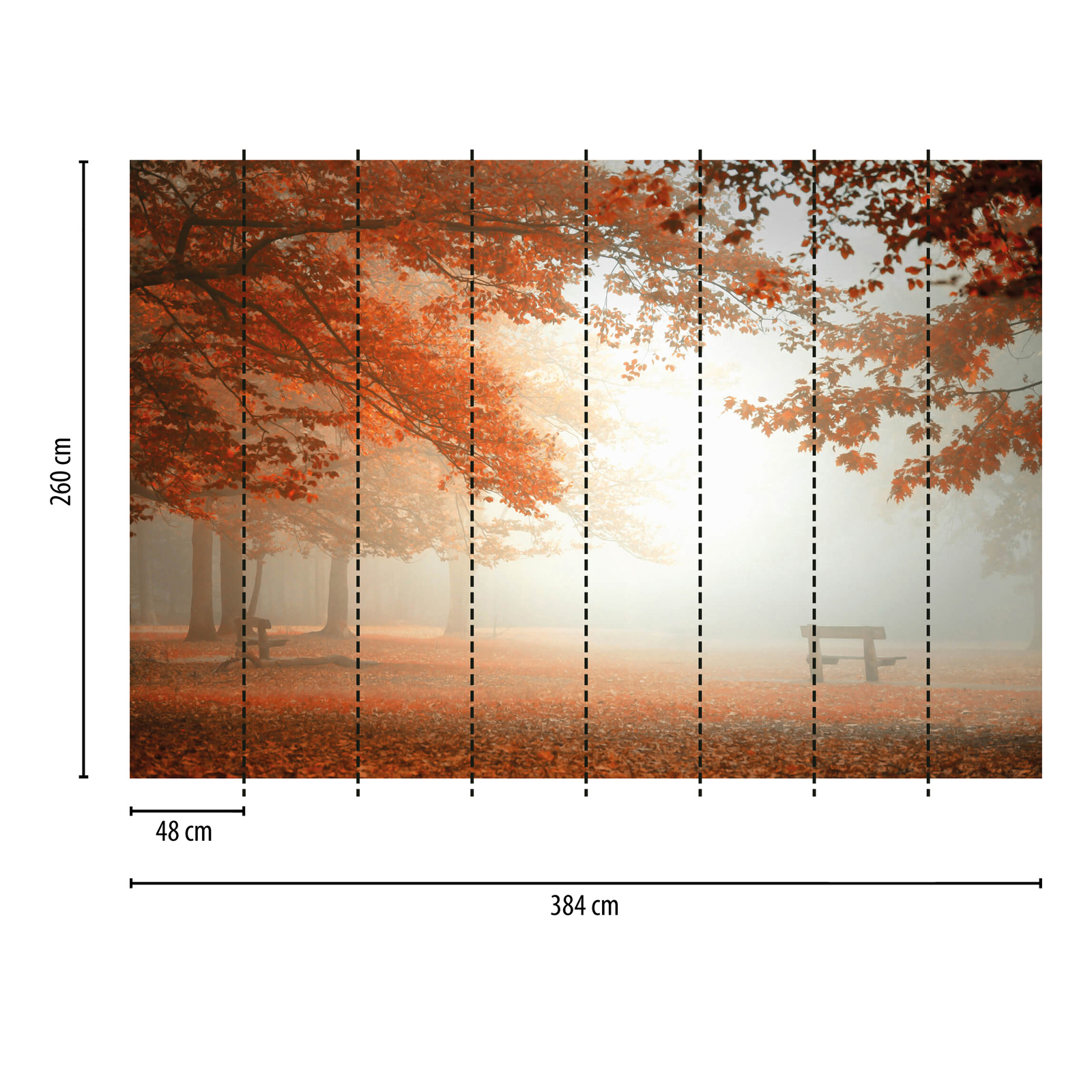             Fototapete Herbstwald im Nebel – Orange, Rot, Braun
        