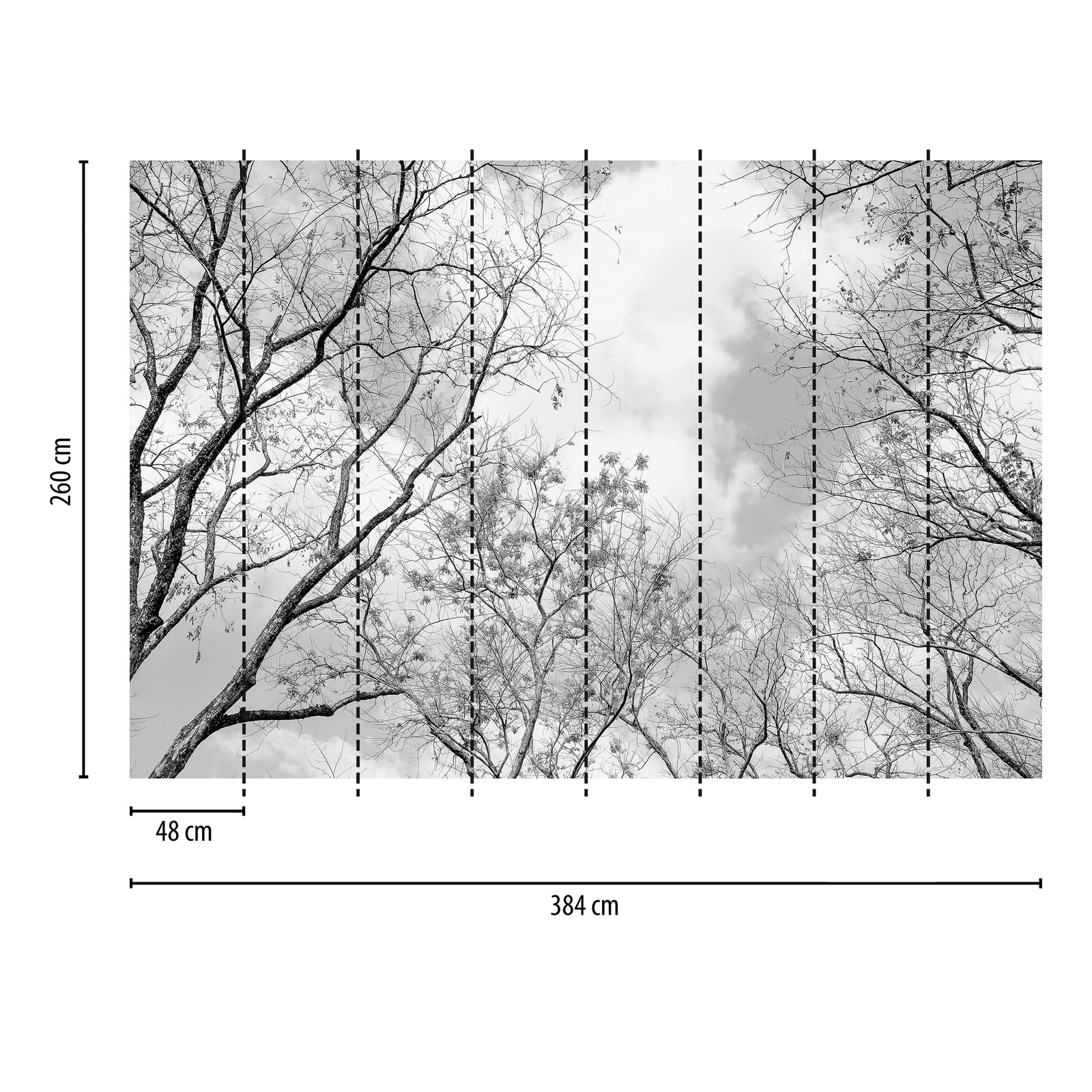             Schwarz-Weiß Fototapete Baumspitzen Natur Ausblick
        
