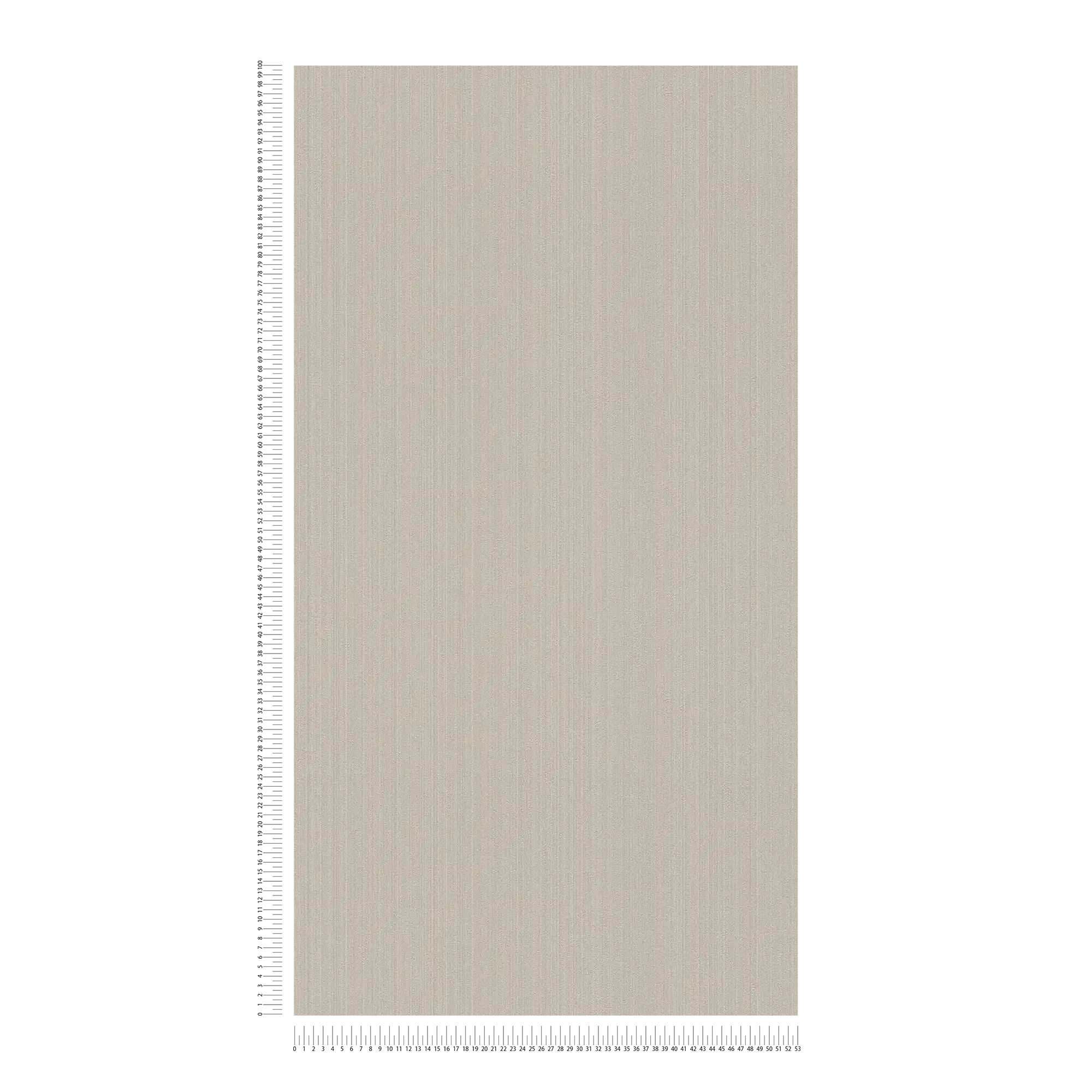             Einfarbige Tapete Beige Grau mit seidenmatt Finish
        