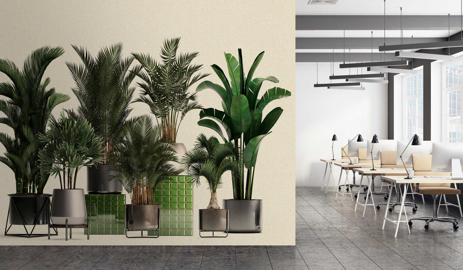             Plant Shop 1 – Natur Fototapete Topfpflanzen Palmen
        