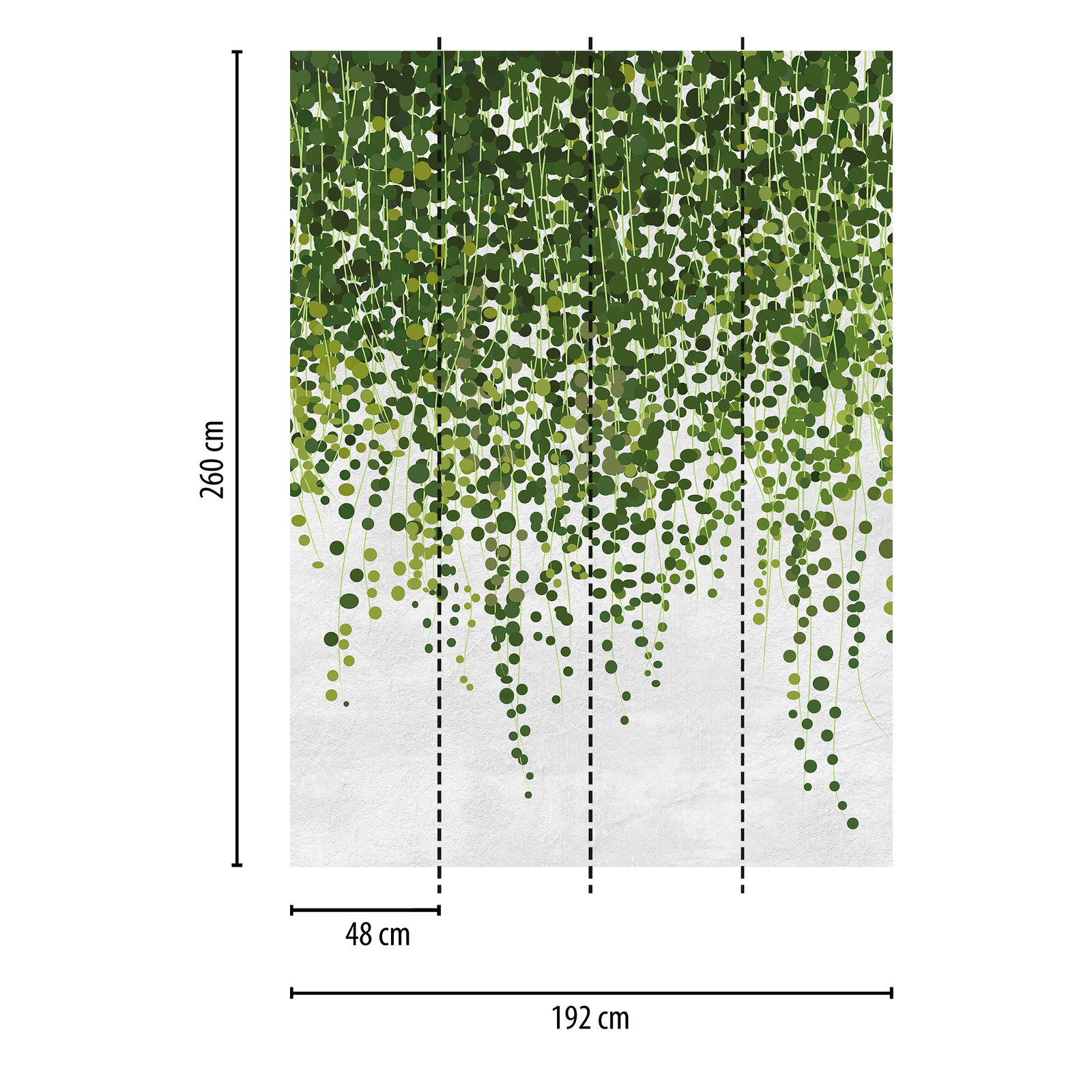             Fototapete Hängende Pflanzen – Grün, Grau
        