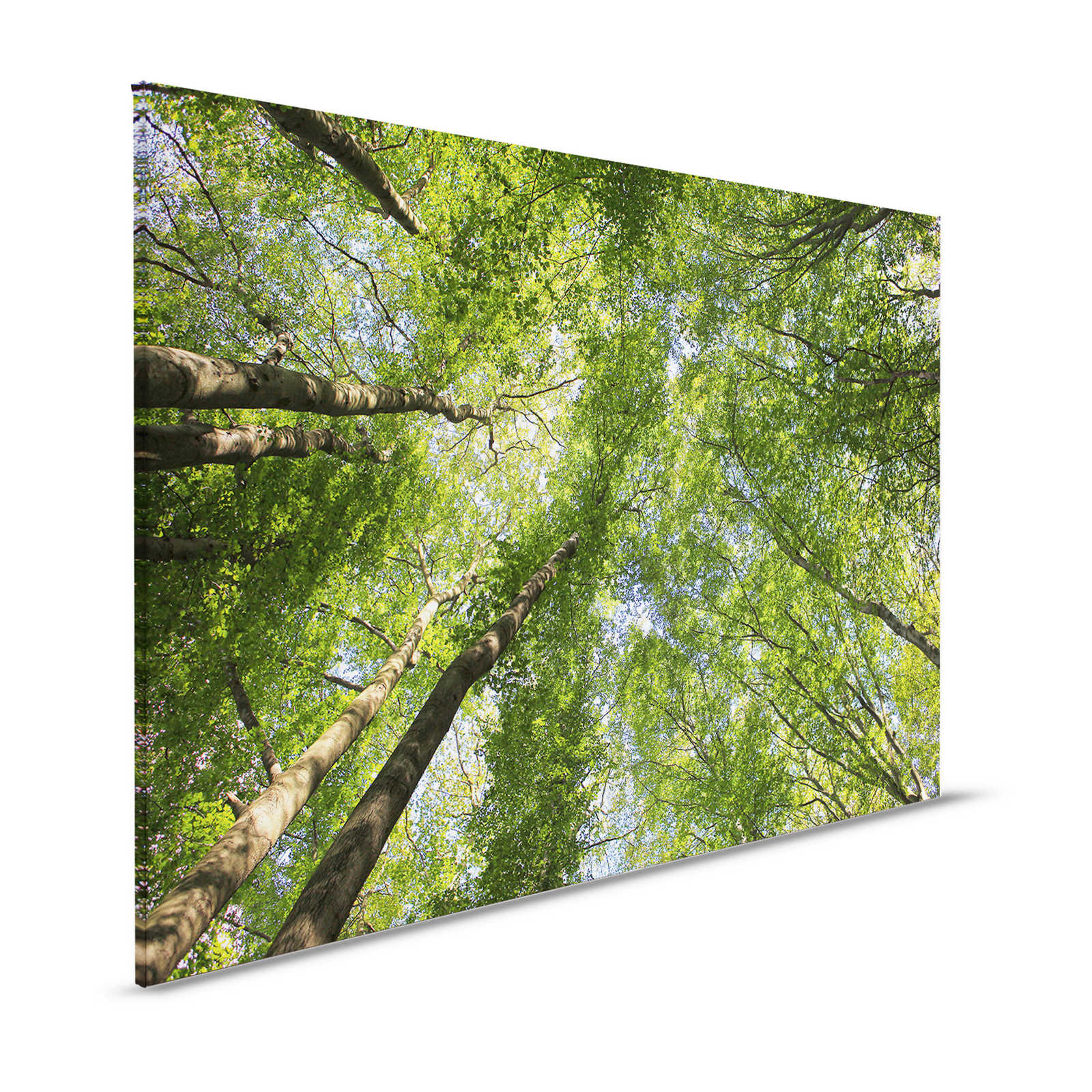 Blätterdach Leinwandbild mit Laubwald Baumwipfeln – 1,20 m x 0,80 m
