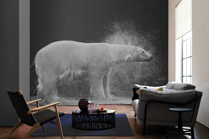             Fototapete nasser Eisbär vor schwarzem Hintergrund
        
