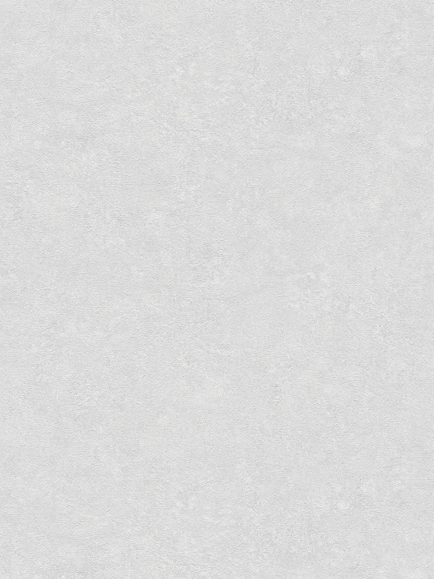         Tapete einfarbig mit Putzoptik – Grau, Weiß
    