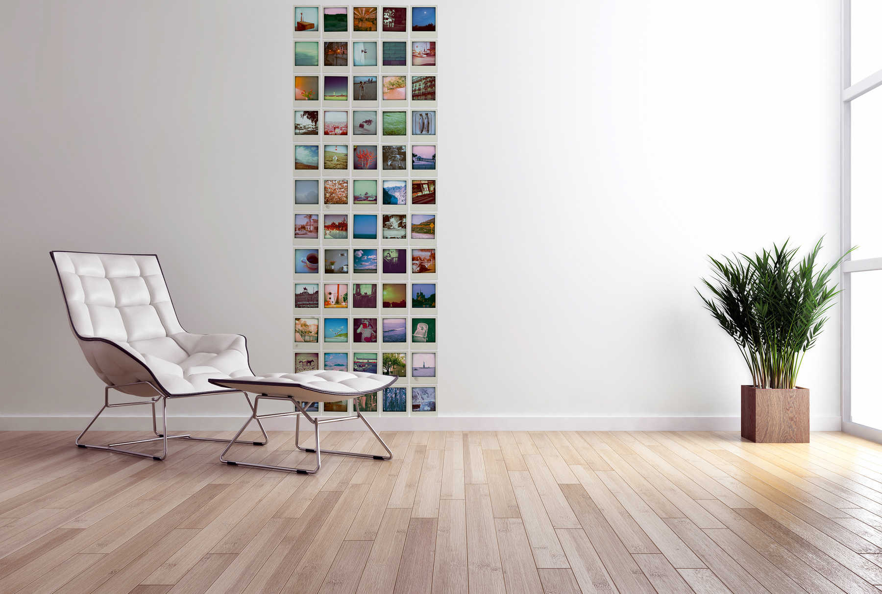             Moderne Fototapete Wand mit Fotos auf Premium Glattvlies
        