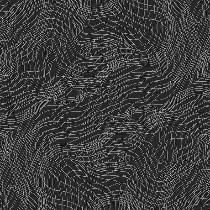         Dunkle Fototapete mit Linienmuster, minimalistisch – Schwarz, Weiß
    