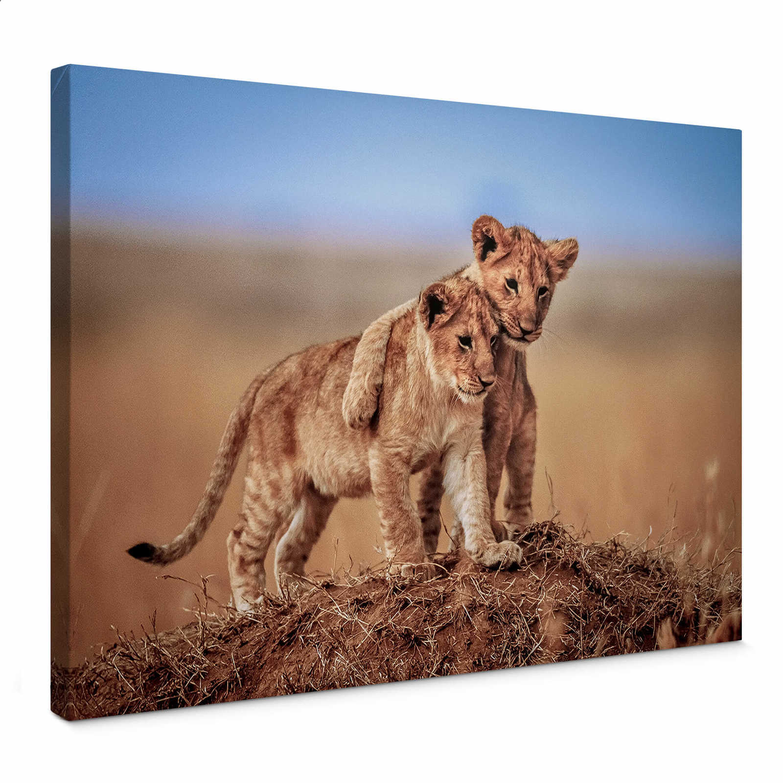 Leinwandbild Löwen Kinder in der Natur – 0,70 m x 0,50 m
