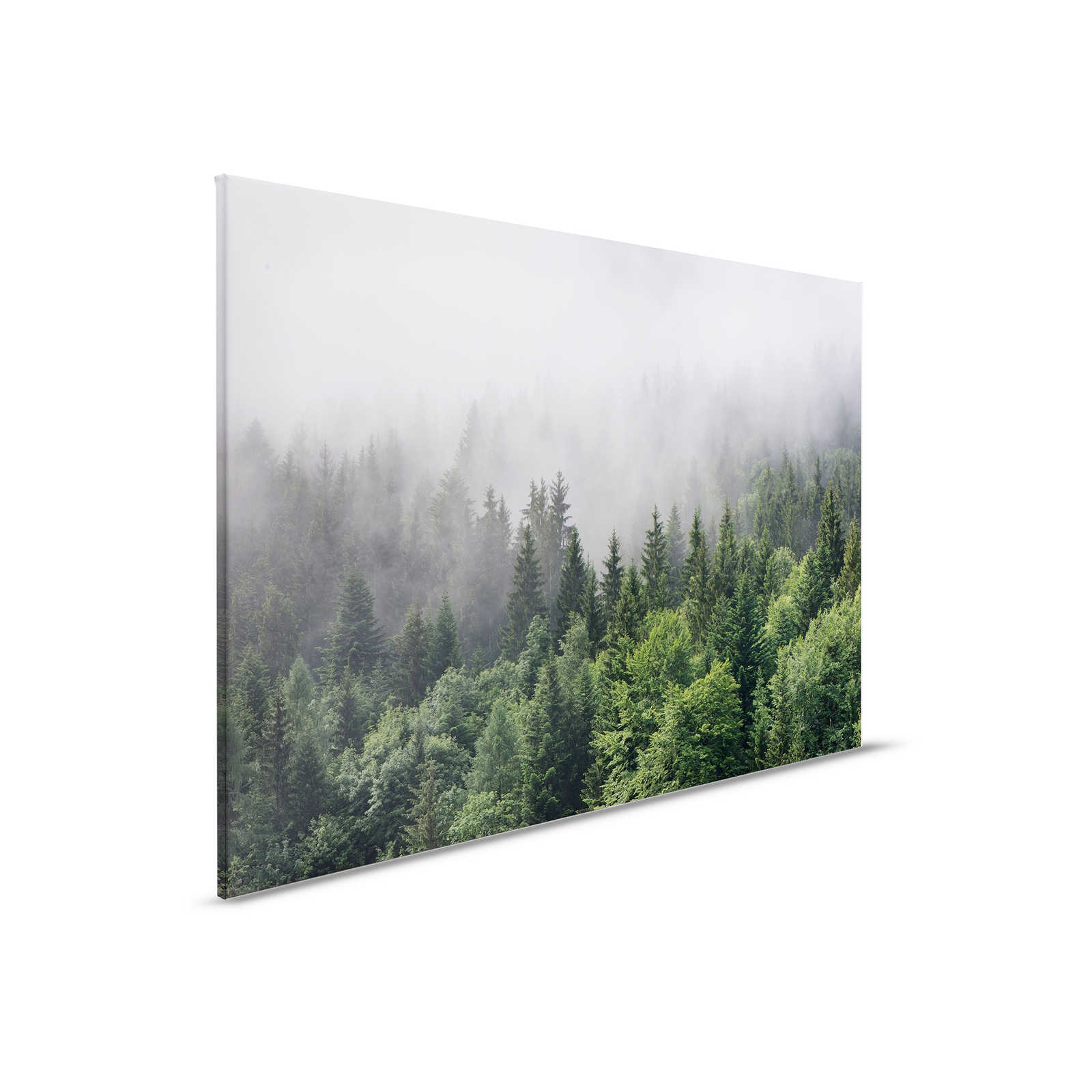         Leinwand mit Wald von oben an einem nebeligen Tag – 0,90 m x 0,60 m
    