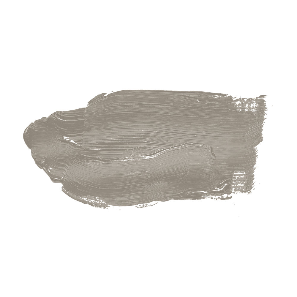             Wandfarbe in wohnlichem Taupe »Grey Pumpkin« TCK1019 – 2,5 Liter
        