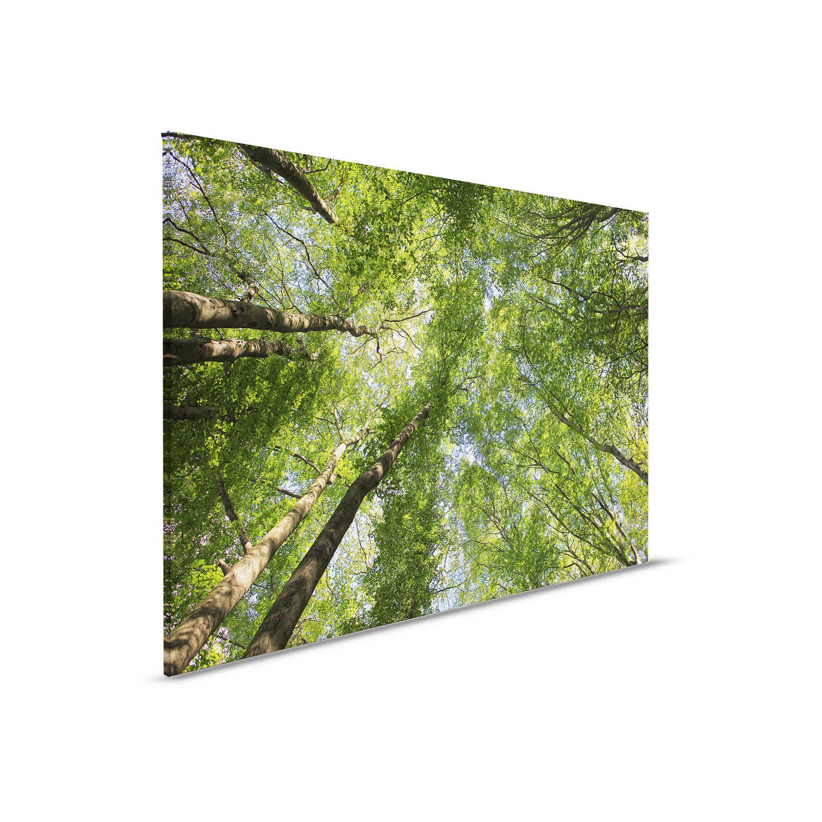 Blätterdach Leinwandbild mit Laubwald Baumwipfeln – 0,90 m x 0,60 m
