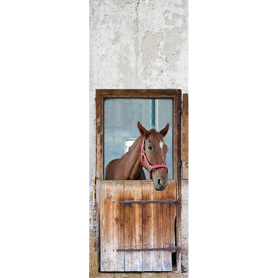         Moderne Fototapete Stalltür mit Pferd auf Premium Glattvlies
    