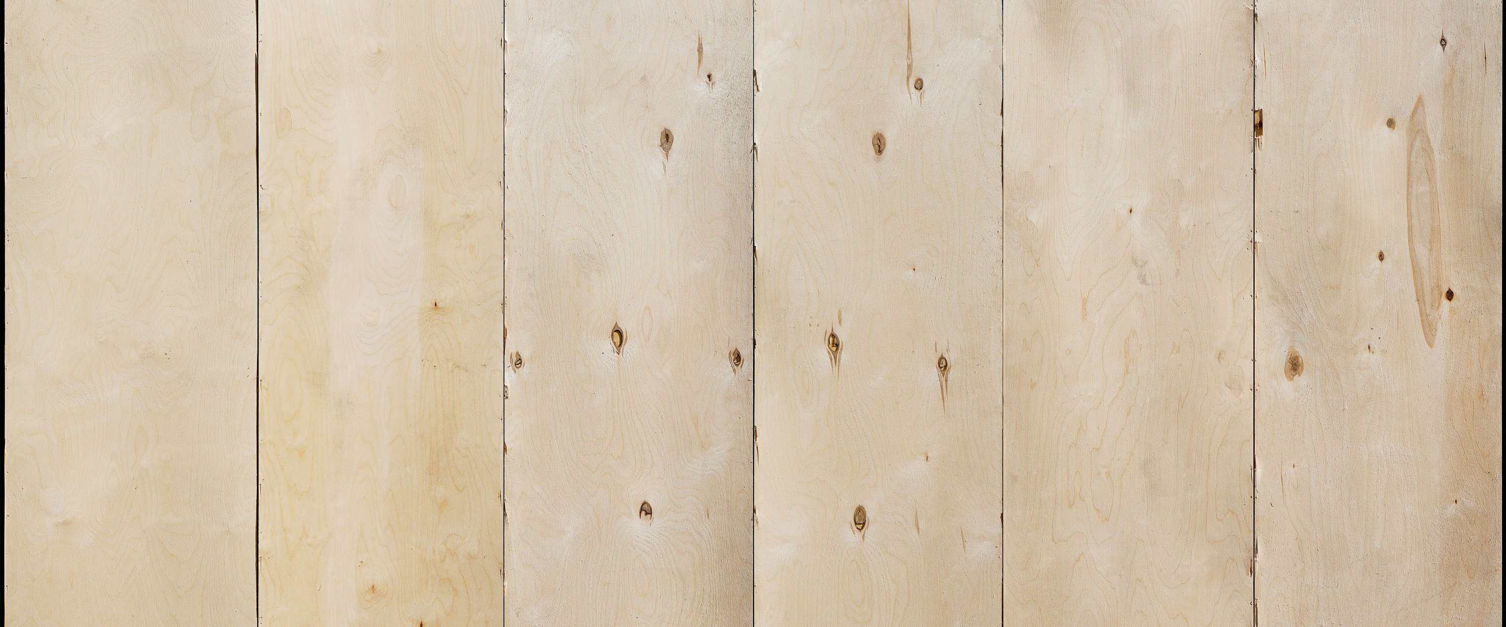             Holzoptik Fototapete Planken mit Maserung
        