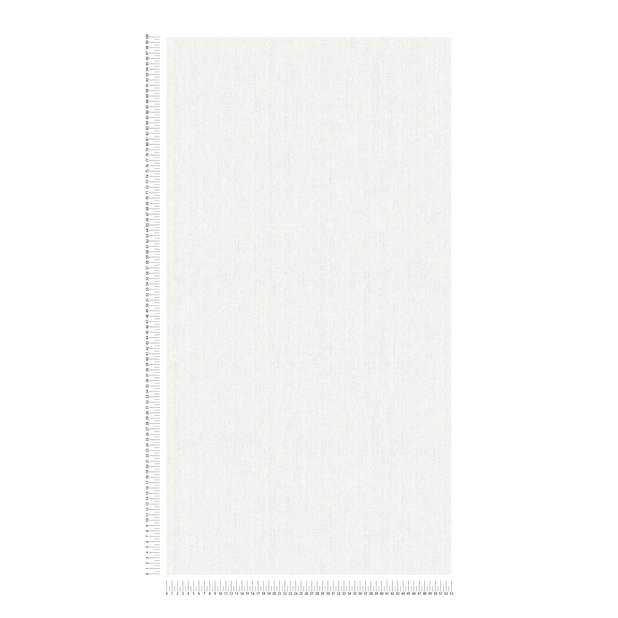            Vliestapete Weiß einfarbig, matt mit Schaumstruktur
        