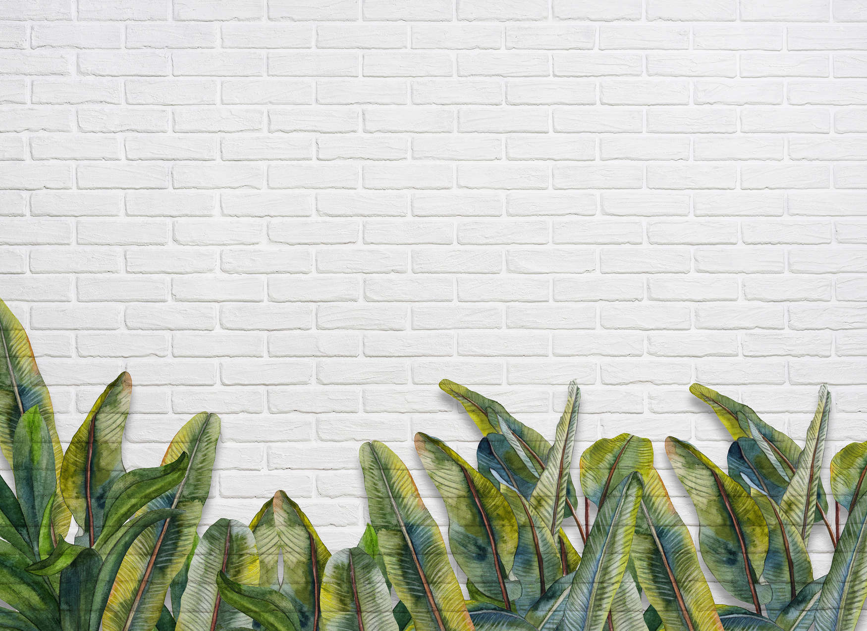             Fototapete mit Blättern vor weißer Backsteinmauer – Grün, Weiß
        