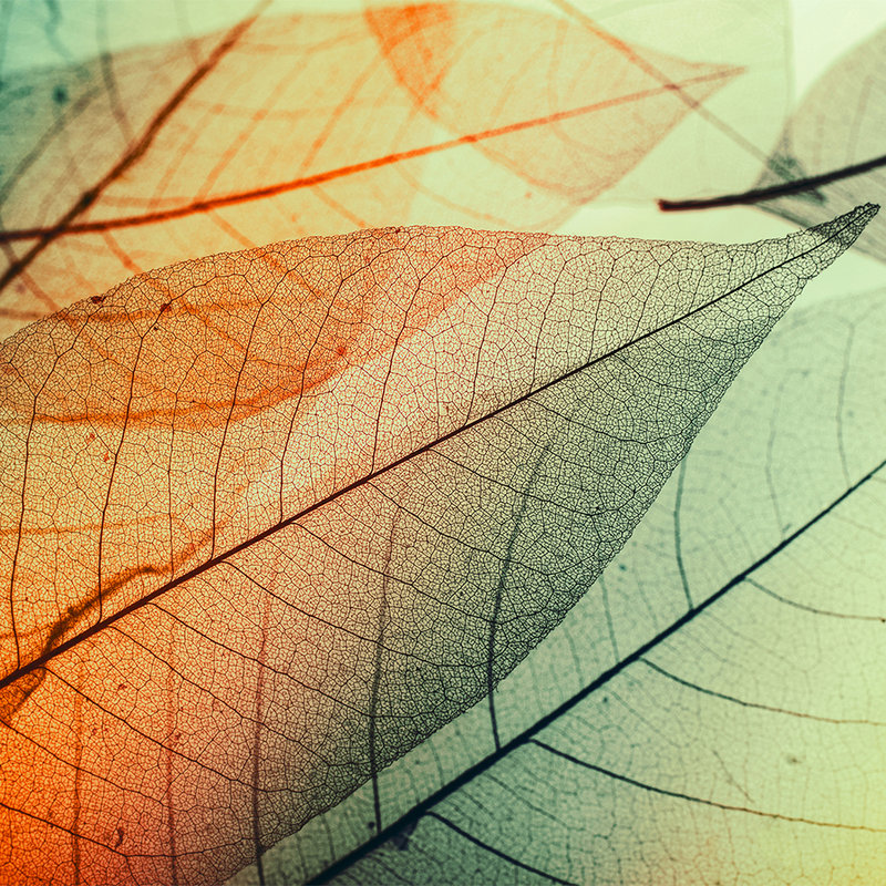 Fototapete mit Blätter-Design – Grün, Orange, Schwarz
