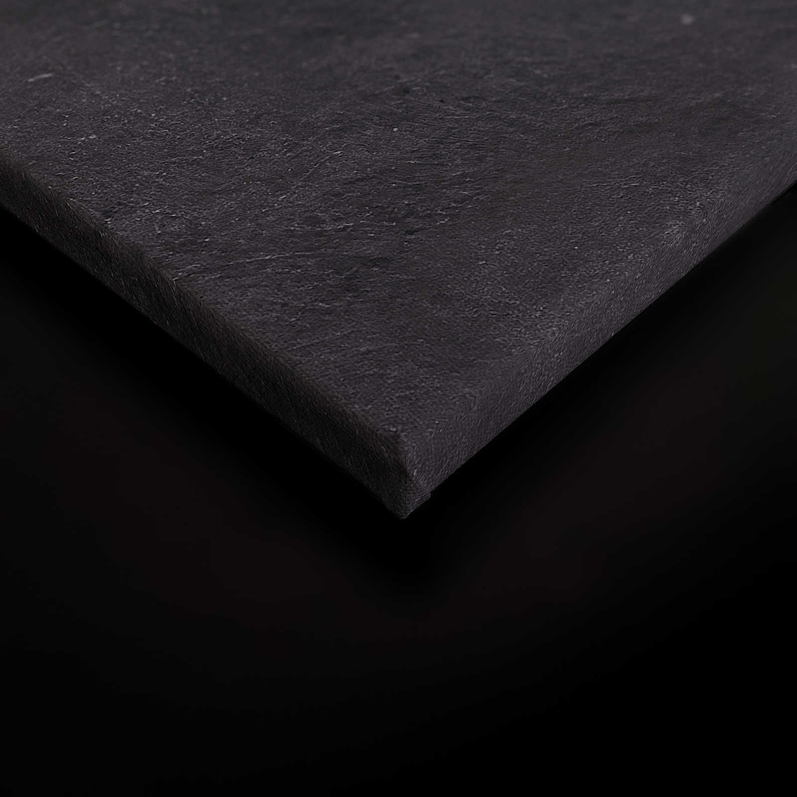             Schwarzes Leinwandbild Panter mit Fliegermütze – 0,90 m x 0,60 m
        