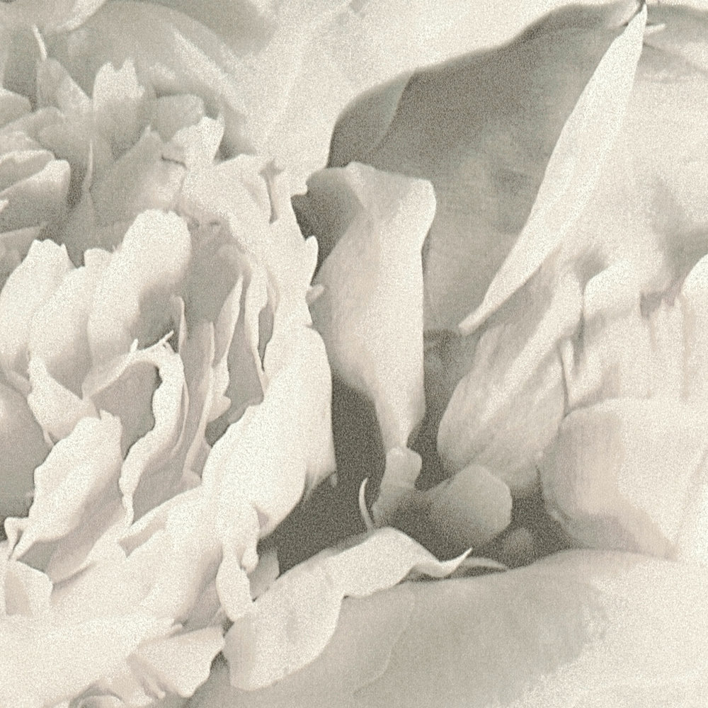             Blumentapete Rosen mit Schimmer Effekt – Beige, Creme, Grau
        