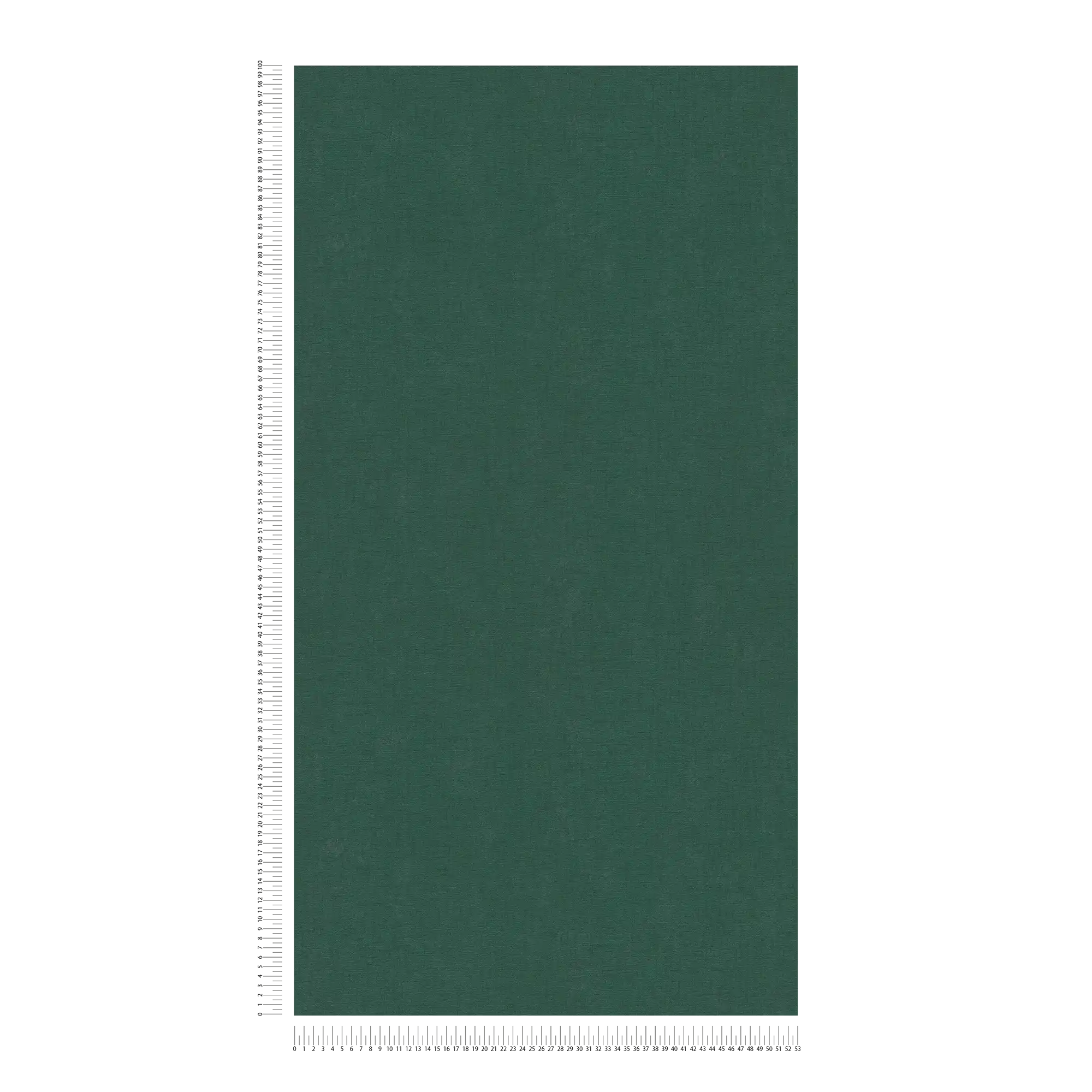             Einfarbige Vliestapete mit leichter Struktur – Grün, Dunkelgrün
        