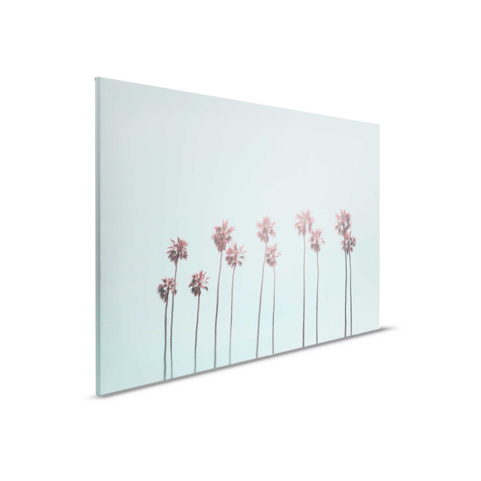         Leinwandbild Palmen & Himmel für Strandfeeling in Türkis & Pink – 0,90 m x 0,60 m
    