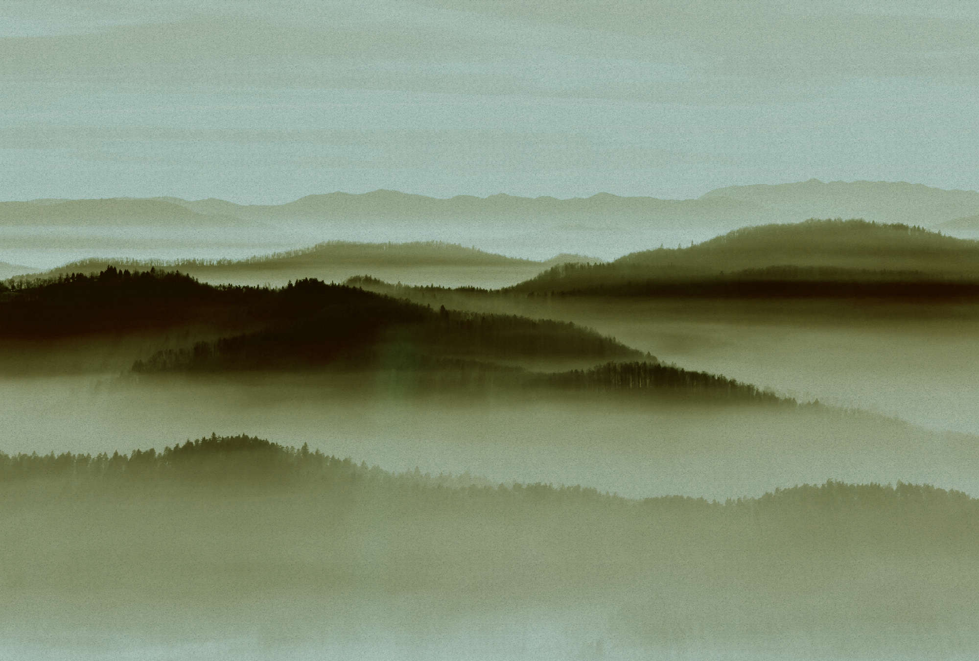             Horizon 2 - Fototapete in Pappe Struktur mit Nebel-Landschaft, Natur Sky Line – Beige, Grün | Perlmutt Glattvlies
        