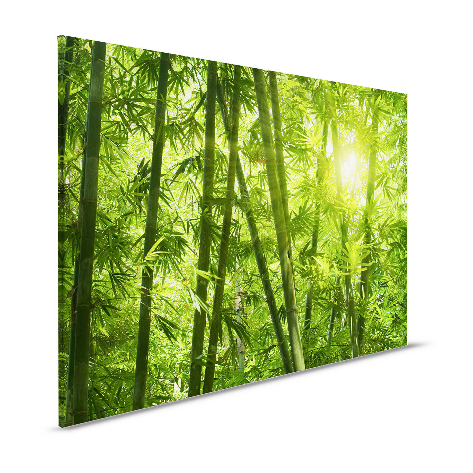 Leinwandbild Bambus und Blätter – 1,20 m x 0,80 m
