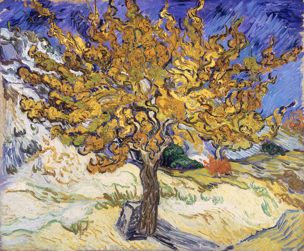             Fototapete "Maulbeerba" von Vincent van Gogh
        