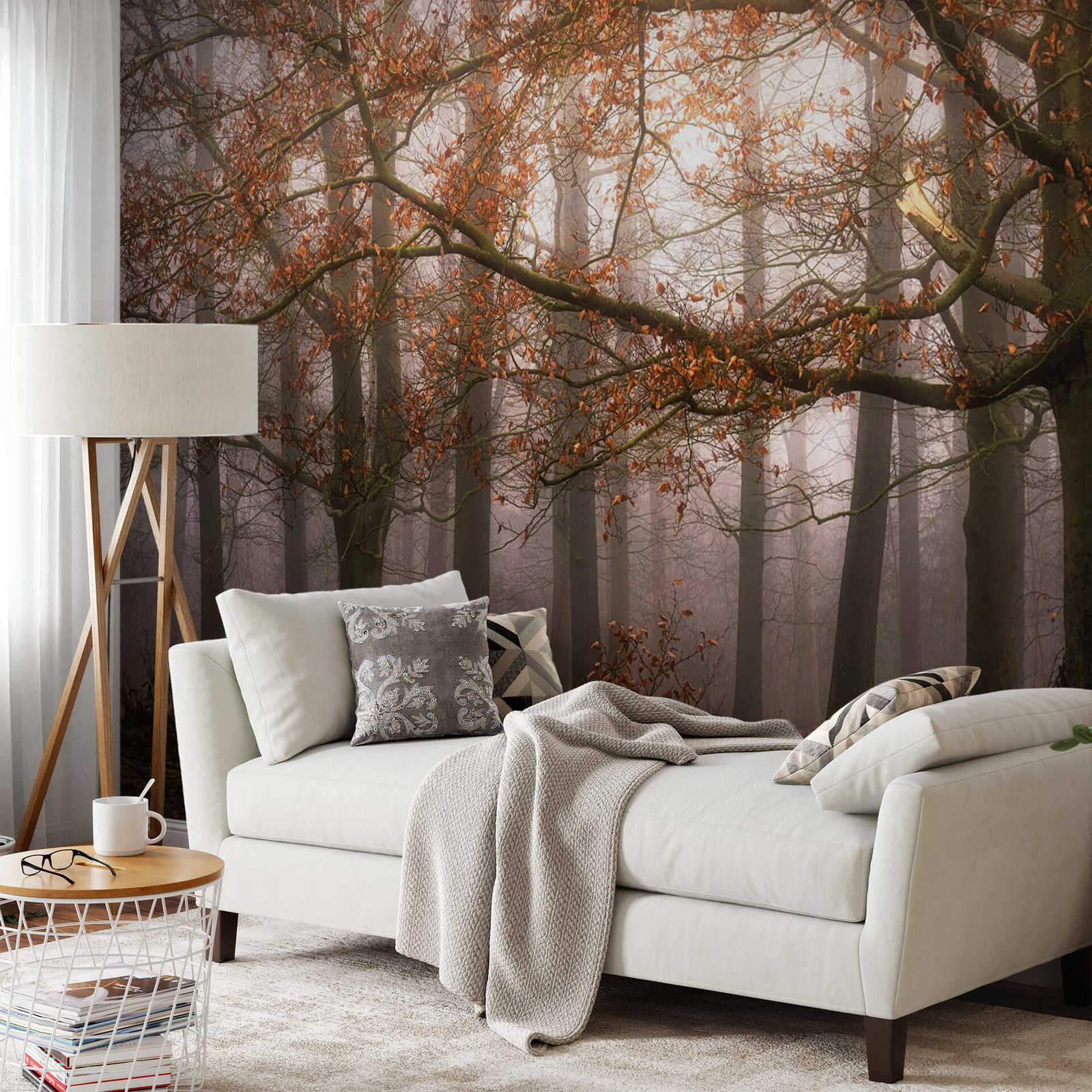             Fototapete Wald im Herbst – Braun, Orange
        