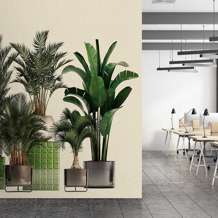 Plant Shop 1 – Natur Fototapete Topfpflanzen Palmen

