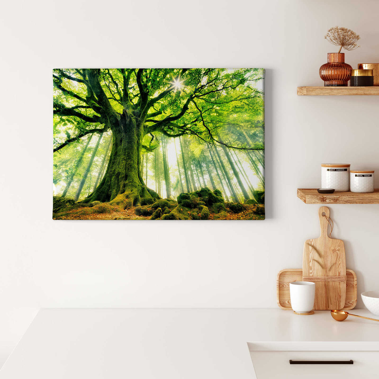            Kiciak Leinwandbild Blätterwald mit Märchenstimmung – 0,70 m x 0,50 m
        