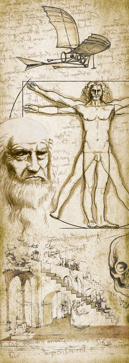             Moderne Fototapete Zeichnungen von Leonardo Da Vinci auf Premium Glattvlies
        