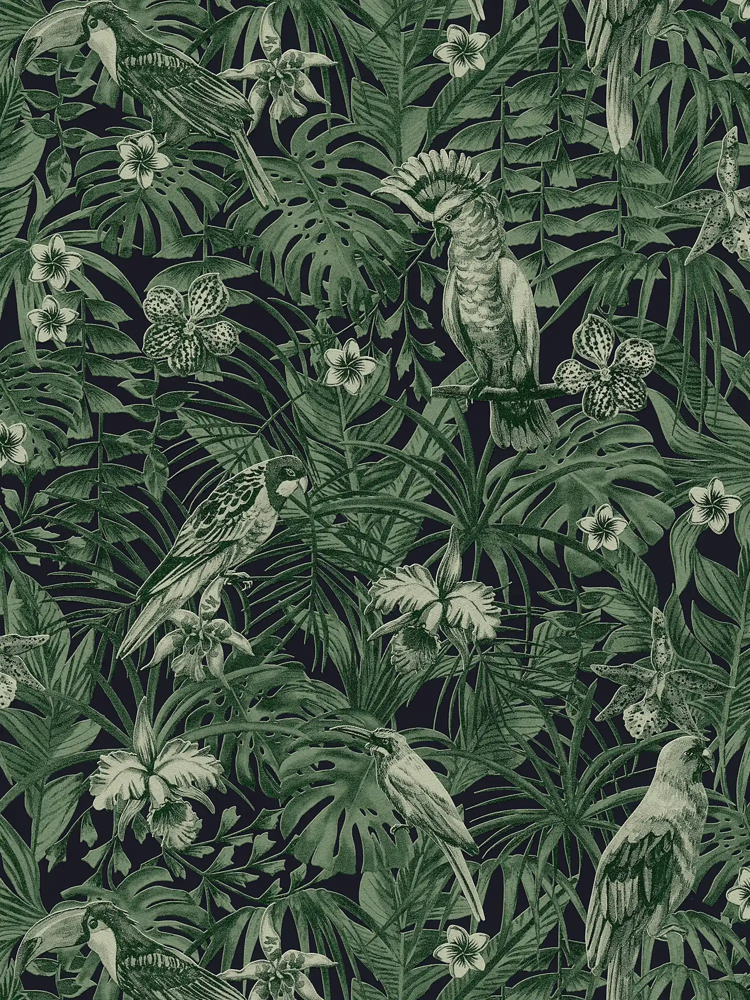 Tapete tropische Vögel & exotische Blüten – Grün, Schwarz
