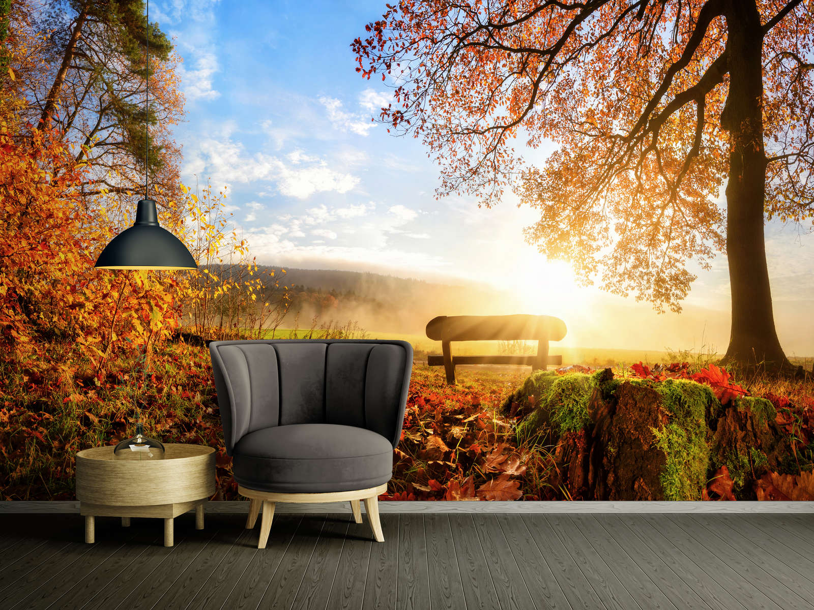             Fototapete Bank im Wald an einem Herbstmorgen – Premium Glattvlies
        