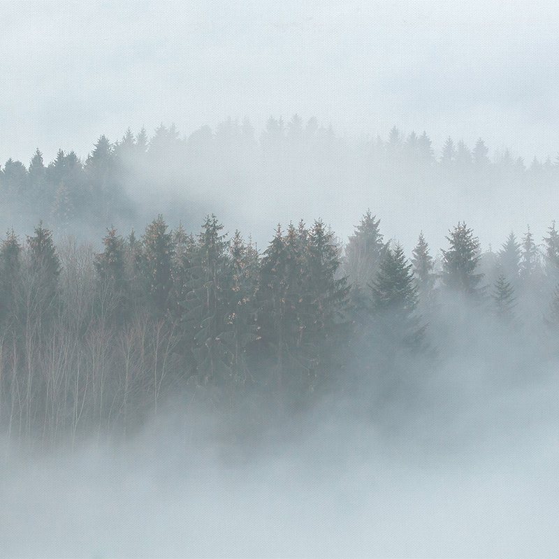         Geheimnisvoller Wald im Nebel – Weiß, Grün, Grau
    