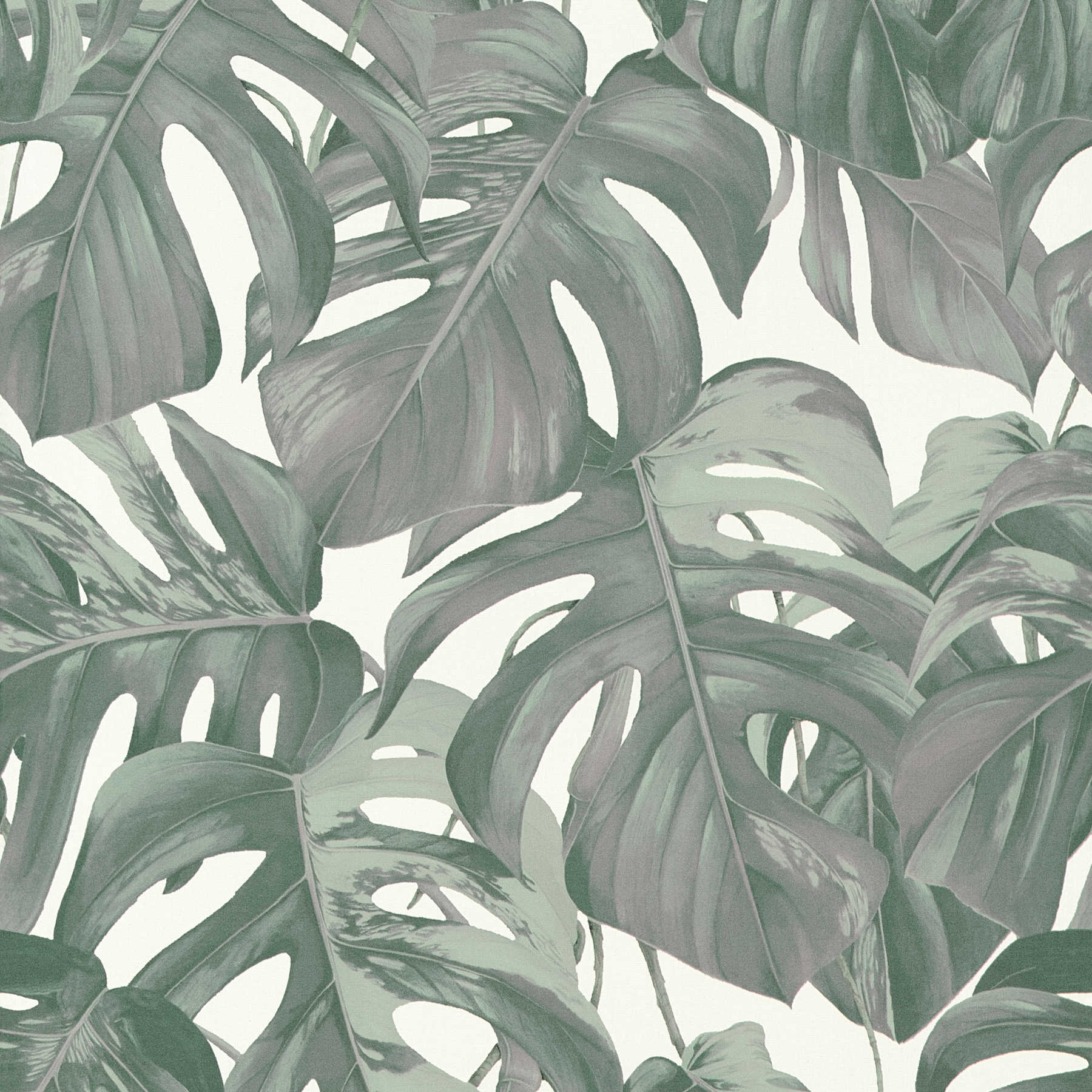 Blätter Tapete tropisches Monstera Muster – Grün, Weiß
