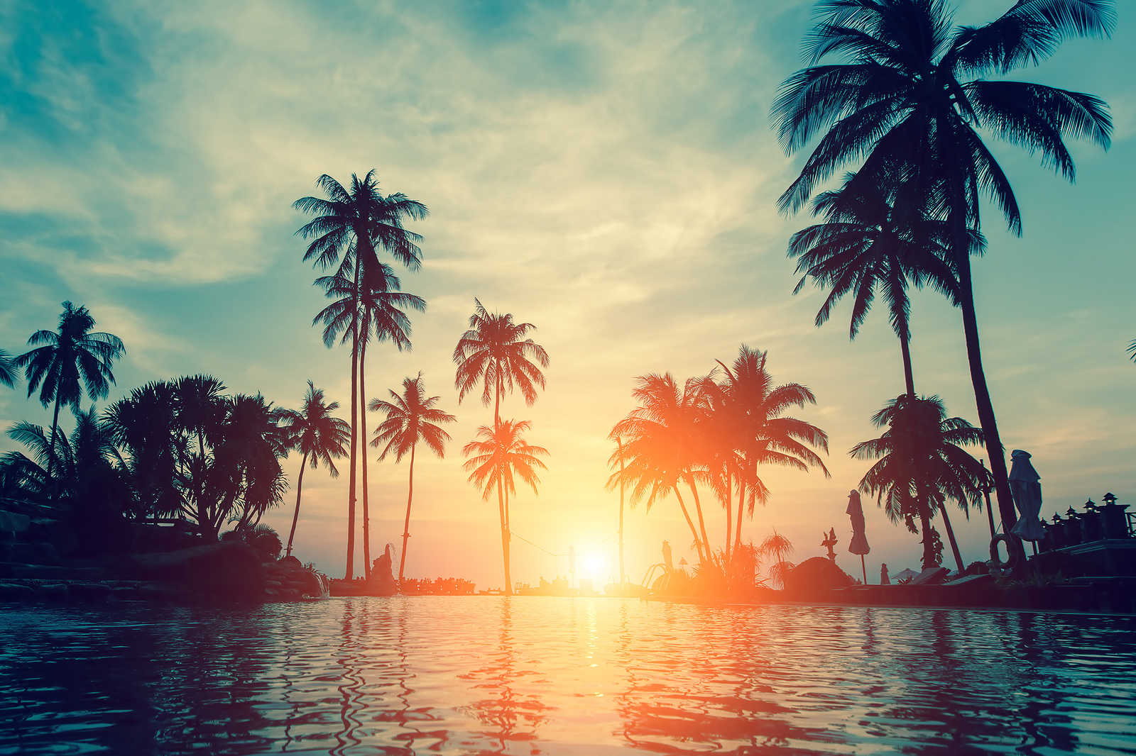             Leinwandbild mit Palmen am Wasser im Sonnenuntergang – 0,90 m x 0,60 m
        