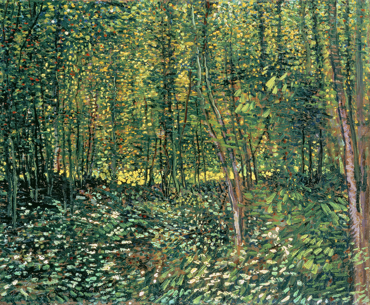             Fototapete "Bäume und Gestrüpp" von Vincent van Gogh
        